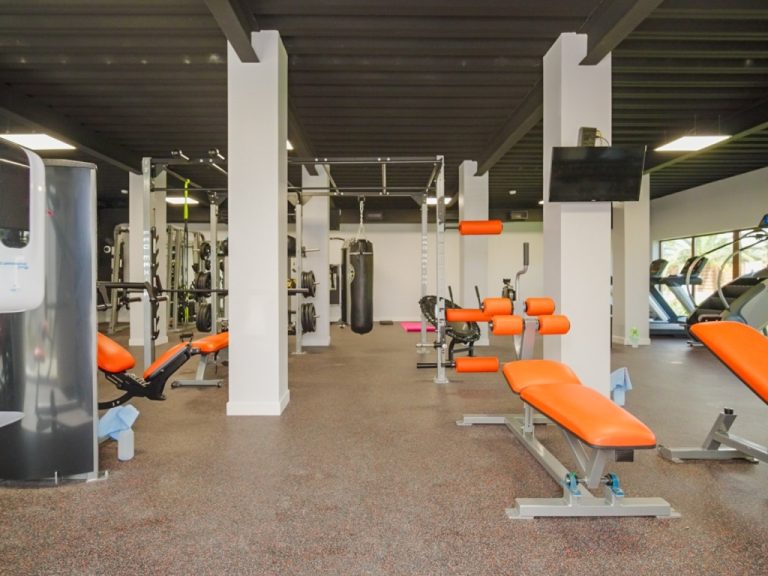 Arvia - Gym