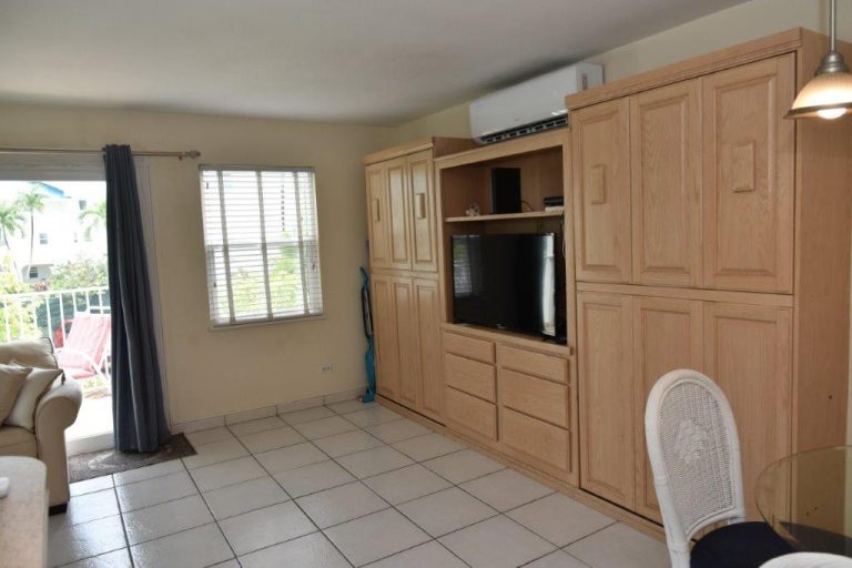 Seagull 1 Bed 1 Bath Short-Term - TV