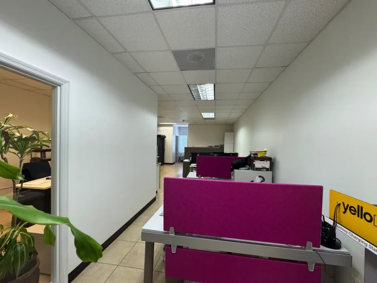 Cayman Centre 1100sq. ft. - Across from Airport Post Office - Hallway