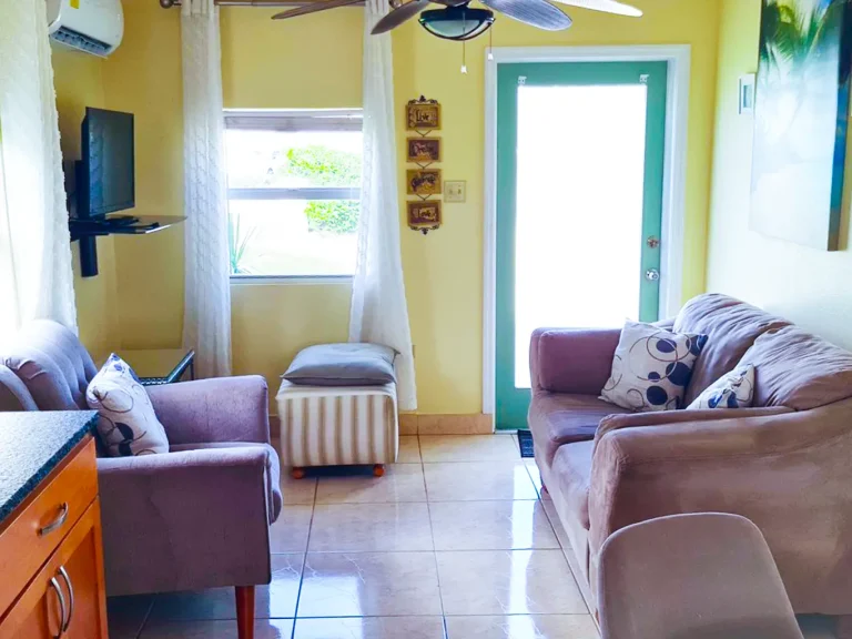 Cute & Cozy 1 Bed 1 Bath Standalone House - 269 - Living Room