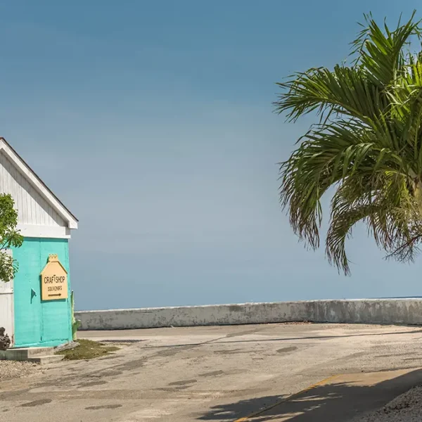 Blue Beach Shop - West Bay - Medium