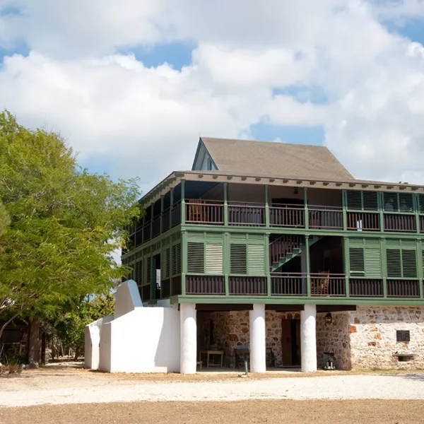 Pedro St James - Savannah - Medium